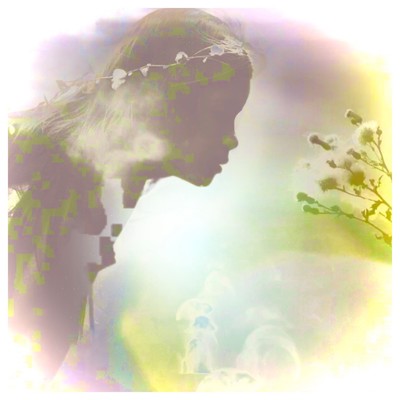 Twelfth Night Front Cover