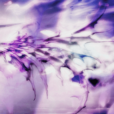 Purple Dreamscape Front Cover