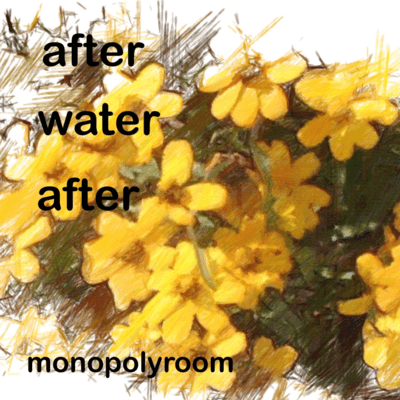 after water after Front Cover