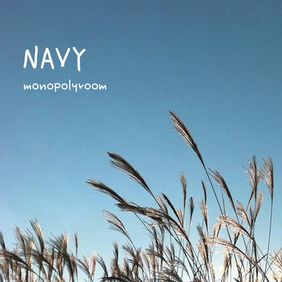 NAVYのジャケット写真