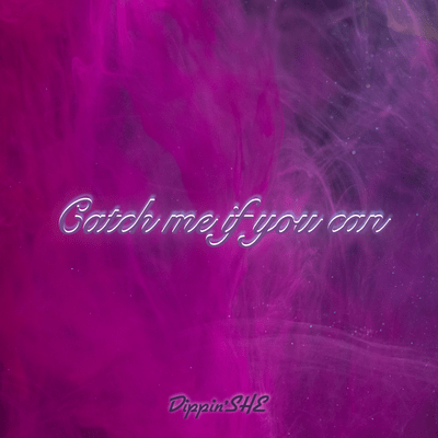 Catch me if you can Front Cover