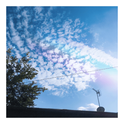 虹のジャケット写真