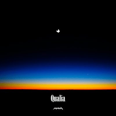 Qualia Front Cover