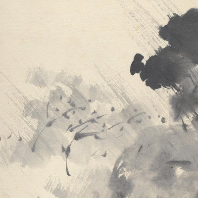 In the Wind Front Cover