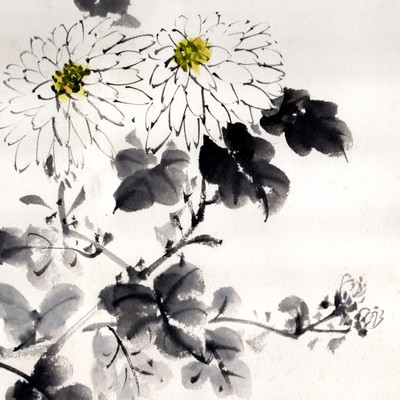 うさぎのジャケット写真