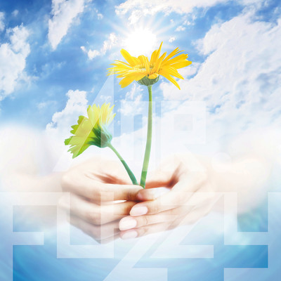 kokorobana Front Cover