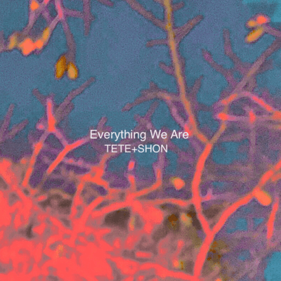 Everything We Are Front Cover