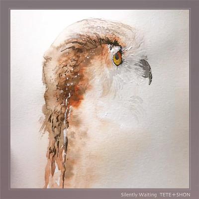 Silently Waiting Front Cover