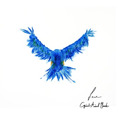 freeのジャケット写真