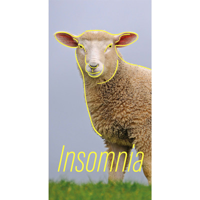 Insomniaのジャケット写真
