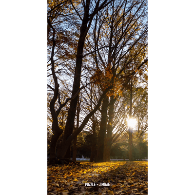 Puzzle Front Cover