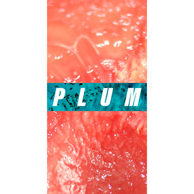 Plum Front Cover