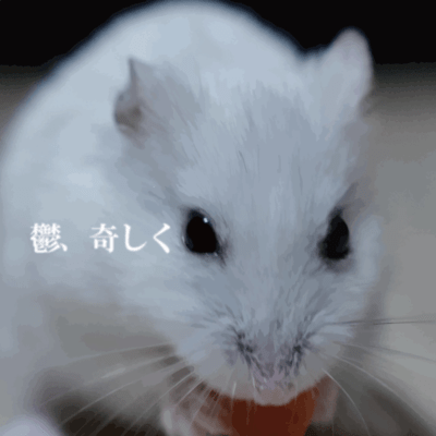 鬱、奇しくのジャケット写真