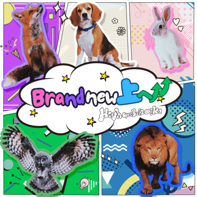 Brandnew上へ↑↑のジャケット写真