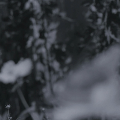 Fast Burnin' Front Cover