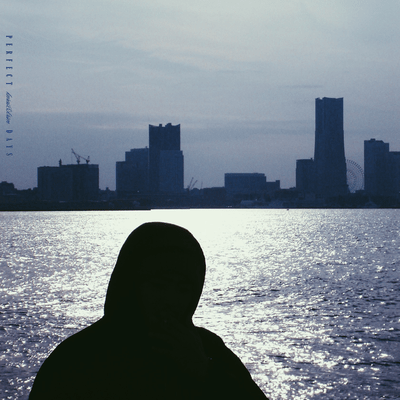 PERFECT DAYS Front Cover