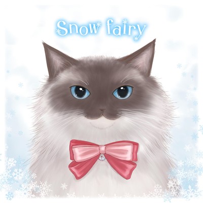 snow fairyのジャケット写真