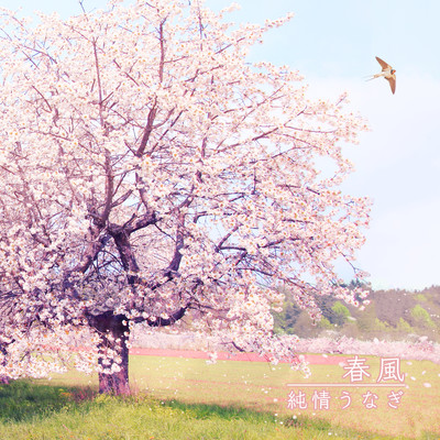 春風のジャケット写真