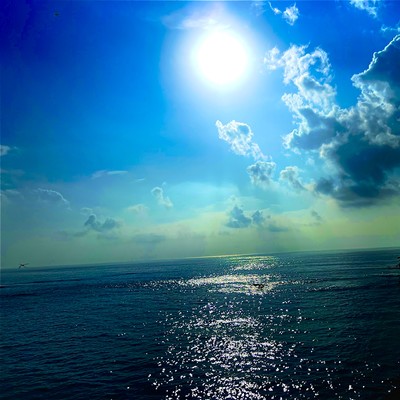 海のジャケット写真