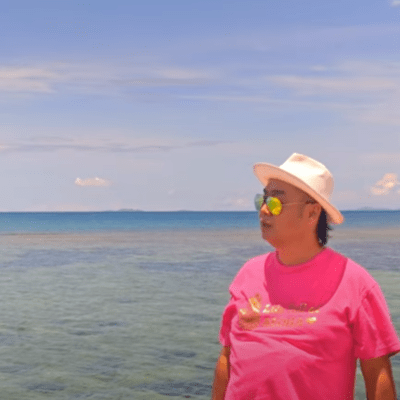 island of the sun Front Cover