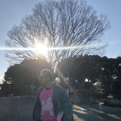 ユグドラシルのフールたちのジャケット写真