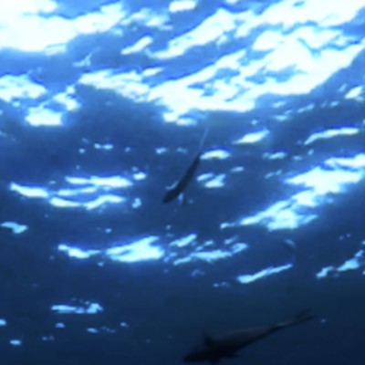 海底のジャケット写真