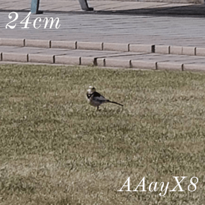 24cmのジャケット写真