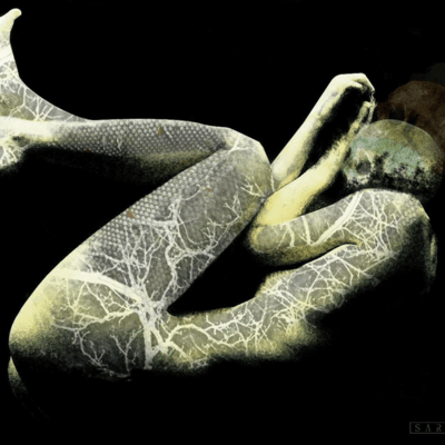 Under The Sun Front Cover