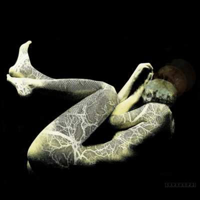 Fuseのジャケット写真