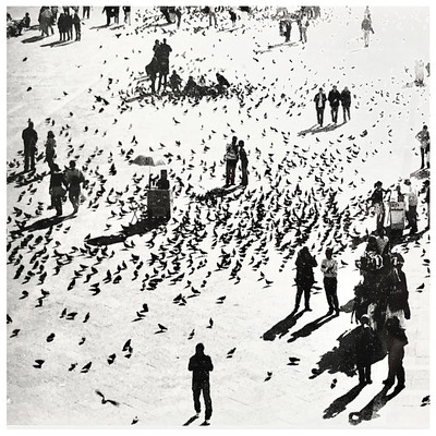 GenFūkei Front Cover