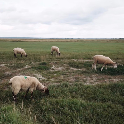 Multitrack Recording Front Cover