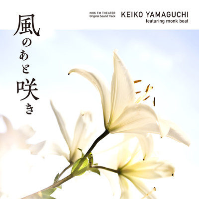 NHK FM Theater Broom After The Wind Original Sound Track Front Cover