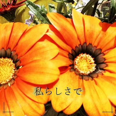 私らしさでのジャケット写真