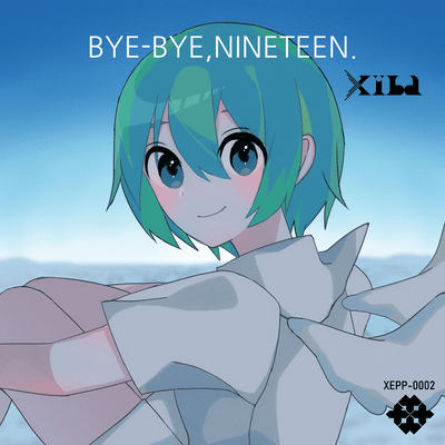 BYE-BYE, NINETEEN. Front Cover