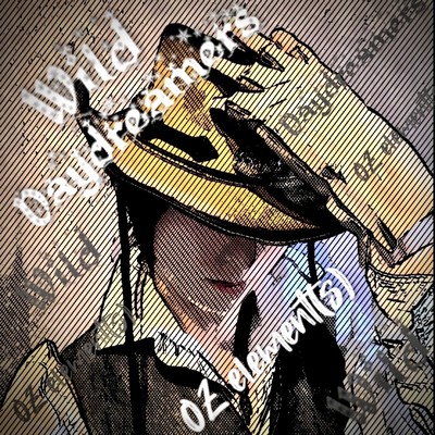 Wild Daydreamers Front Cover