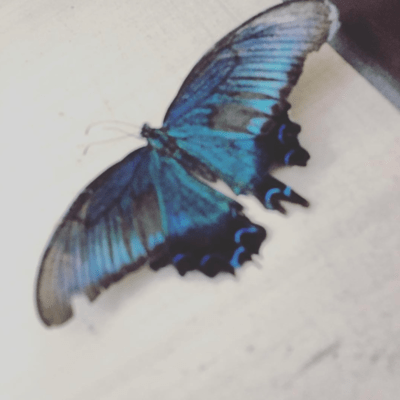 diamondのジャケット写真