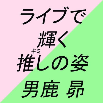 The shining figure of my favorite idol at a live performance Front Cover