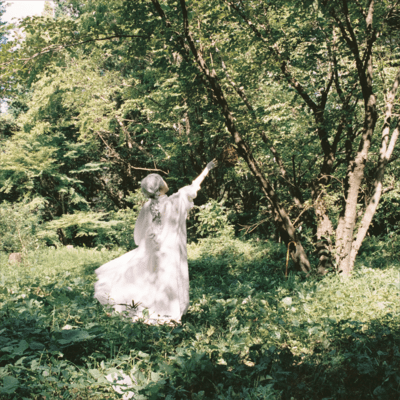 Blue Bird Front Cover