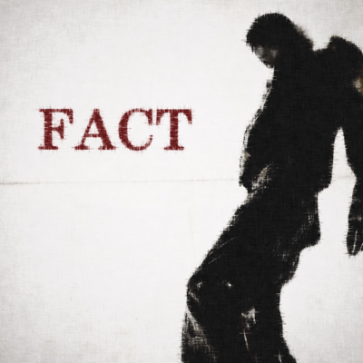 Factのジャケット写真