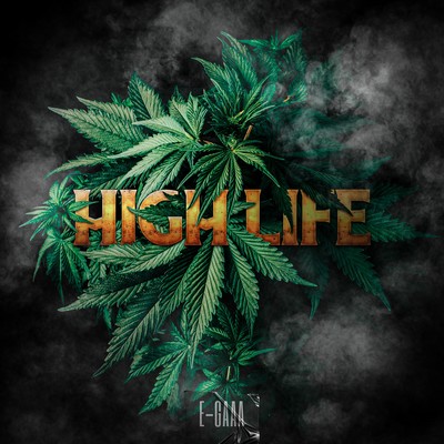 HIGH LIFE Front Cover