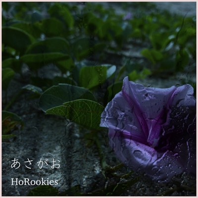 あさがおのジャケット写真