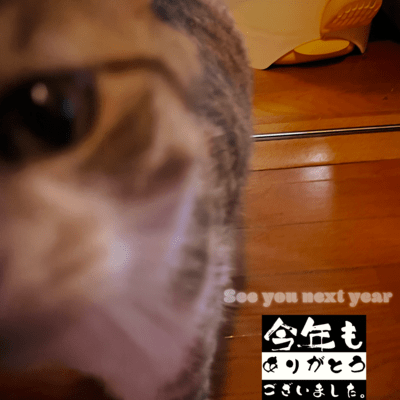 See you next yearのジャケット写真