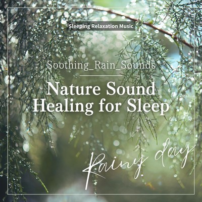 Nature Sound Healing for Sleep -Soothing Rain Sounds- Front Cover