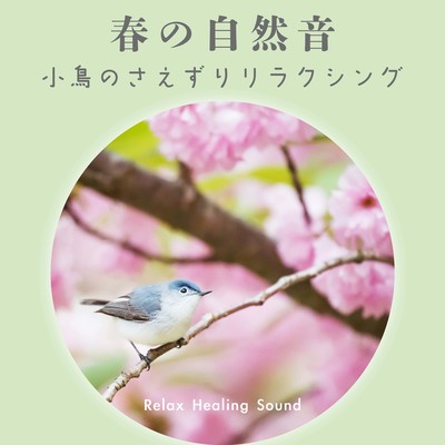 Nature Sounds of Spring -Relaxing chirping of birds- Front Cover