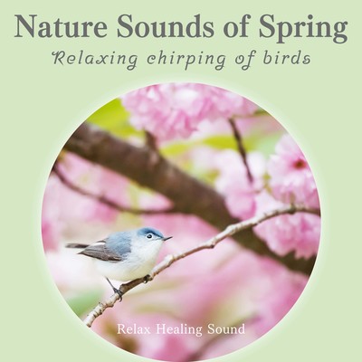 Nature Sounds of Spring -Relaxing chirping of birds- Front Cover