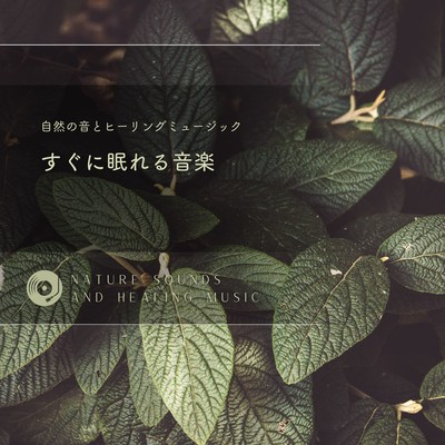 Music that puts you to sleep quickly Front Cover