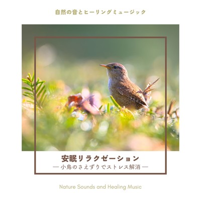 Restful Sleep Relaxation -Stress relief with birds chirping- Front Cover