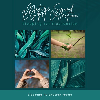 Nature Sound BGM Collection -Sleeping 1/f Fluctuation- Front Cover