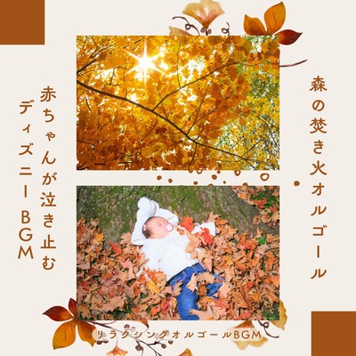 Forest Campfire Music Box - Disney BGM to Calm a Crying Baby Front Cover