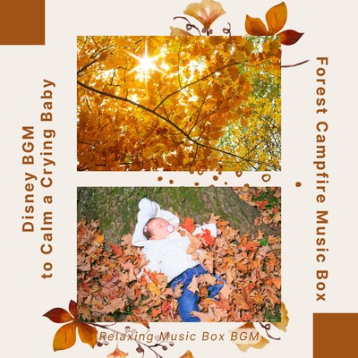 Forest Campfire Music Box - Disney BGM to Calm a Crying Baby Front Cover